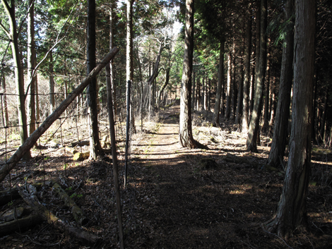 20161216hike (146)